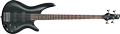 Voir la fiche IBANEZ SR300-IPT