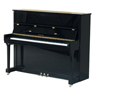 Voir la fiche STEINER MOD 110 NOIR 