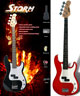 Voir la fiche STORM PACK PB 100 TRD