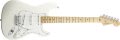 Voir la fiche FENDER STRATOCASTER NEW AMERICAN STD