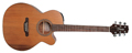 Voir la fiche TAKAMINE EGS 430 SC