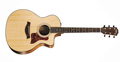 TAYLOR 114 CE TAYLOR