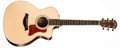 TAYLOR 214 CE TAYLOR
