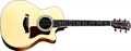 Voir la fiche TAYLOR 414 CE