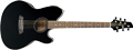 Voir la fiche IBANEZ TCY10E-BK 