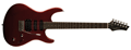 Voir la fiche WASHBURN RX10MRD