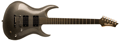 Voir la fiche WASHBURN XMSTD2PMS