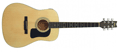 Voir la fiche WASHBURN D8N