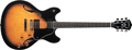 Voir la fiche WASHBURN HB 30 TS