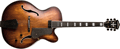 Voir la fiche WASHBURN J600