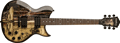 Voir la fiche WASHBURN WI15SJ