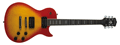 Voir la fiche WASHBURN WINSTDCB
