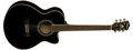 Voir la fiche WASHBURN WMJ5SCEB