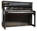 Voir la fiche WIENNER 120 ELEGANCE 