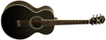 Voir la fiche WASHBURN WJ5SB