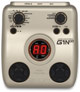 Voir la fiche ZOOM G1N
