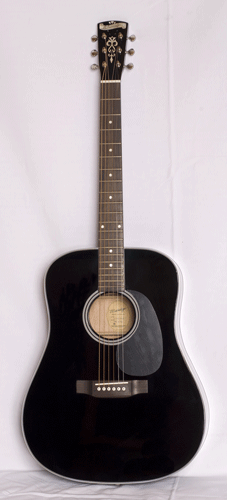 Guitare Folk/Western BLUERIDGE BR60BK 
