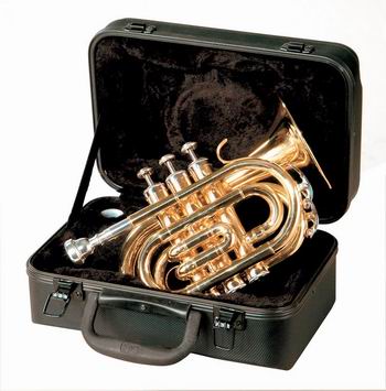 Instruments � vent FRIEDRICH MULLER TROMPETTE SIb TR320 