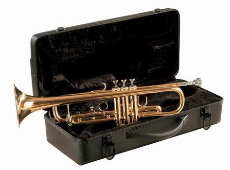 Instruments � vent FRIEDRICH MULLER TROMPETTE SIb TR330 