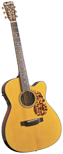 Guitare Folk/Western BLUERIDGE BR143CE 