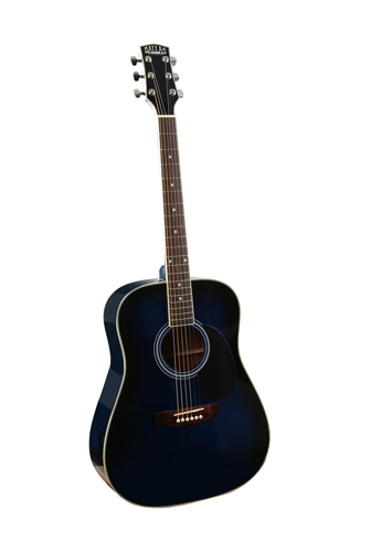 Guitare Folk/Western DALLAS WT80TBL/BAG 