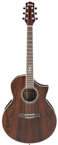 Guitare Folk/Western IBANEZ EW20WNENT 