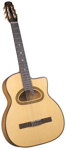 Guitare Folk/Western GITANE DG560 