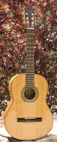 Guitare Classique ISPANA PAN 45BAG 