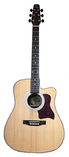 Guitare Folk/Western JM FOREST DC120ENATSAT 