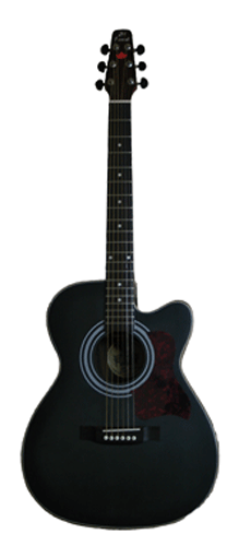 Guitare Folk/Western JM FOREST FC120EBKSAT 