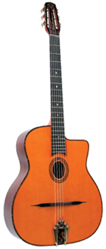 Guitare Folk/Western GITANE DG300 