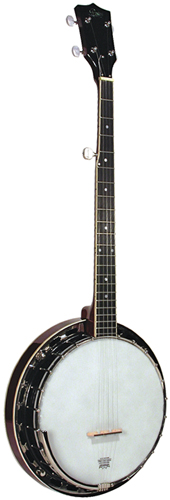 Guitare Folk/Western ROVER RB25 