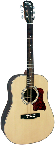 Guitare Folk/Western STORM D80SN/BAG 