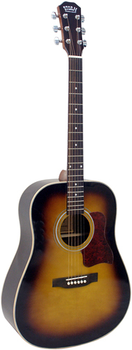 Guitare Folk/Western STORM D80TS/BAG 