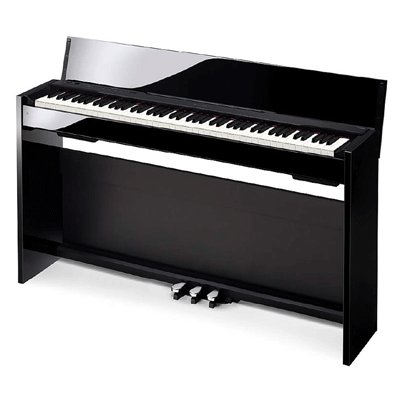 Claviers & Pianos CASIO PX830BP 
