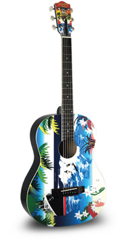 Guitare Folk/Western RECORDING KING RG100H 