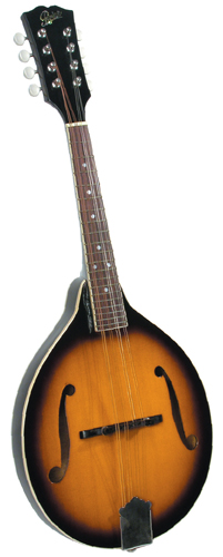 Guitare Folk/Western ROVER RM50 