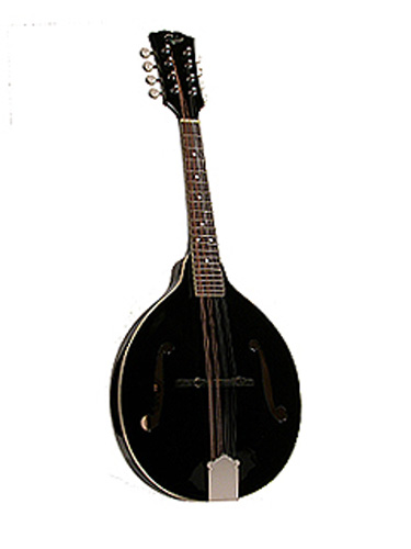 Guitare Folk/Western ROVER RM50B 