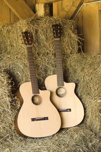 Guitare Folk/Western TRINITY COLLEGE TG20 