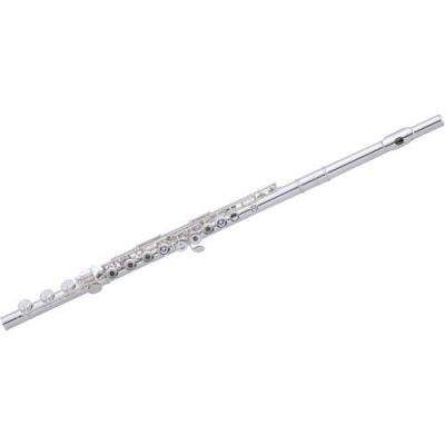 Instruments  vent Flute Traversire QUANTZ  VPE 505 R 