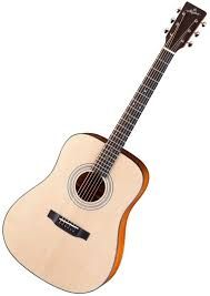 Guitare Folk/Western Stanford deja vu d 18 