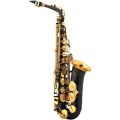 Voir la fiche JUPITER SAXOPHONE ALTO JAS 769 BL 