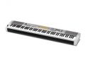 Voir la fiche Casio CDPs 350 