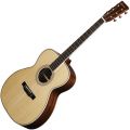 Voir la fiche EASTMAN E20OM 