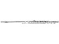 Voir la fiche TREVOR JAMES FLUTE TRAVERSIERE SYMPHONY 