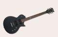 Voir la fiche LTD EC-50