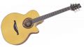 Voir la fiche LAG Baby Jumbo Cutaway Ac/El