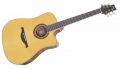 Voir la fiche LAG Dreadnought Cutaway Ac/El