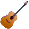 Voir la fiche TAKAMINE AN10