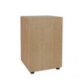 Voir la fiche CAJON CAJ100NT 